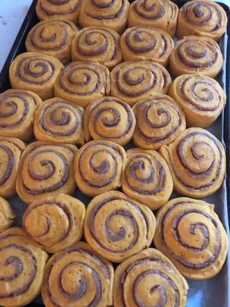 pumpkin cinnamon rolls